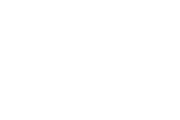 castle water white logo