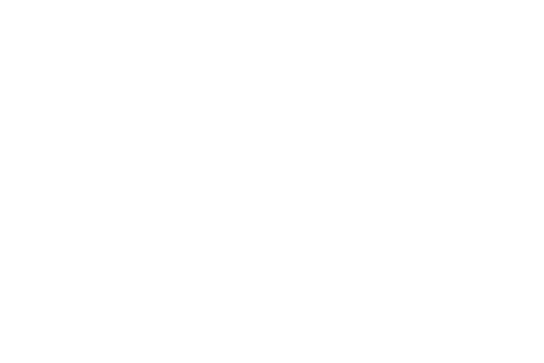 everflow water white logo