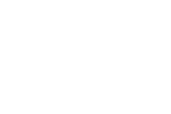 ses business water white logo