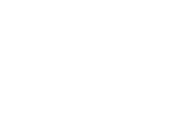 Utility bidder company logo in white