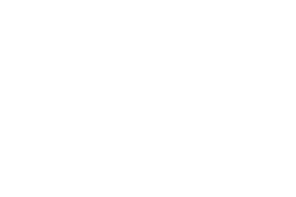 Waterplus company logo in white