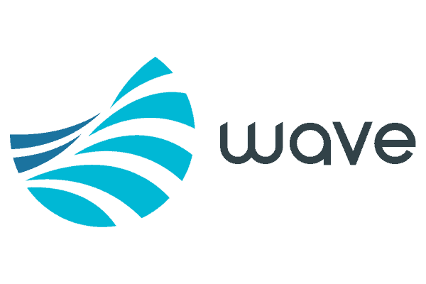 Wave logo in colour