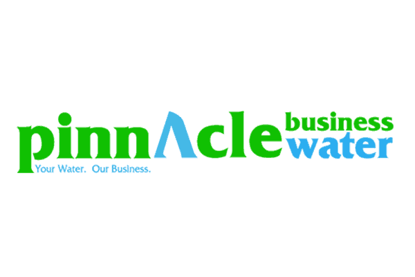 Pinnacle business water logo